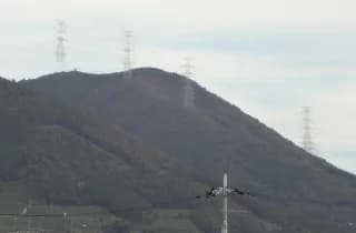 Mt.