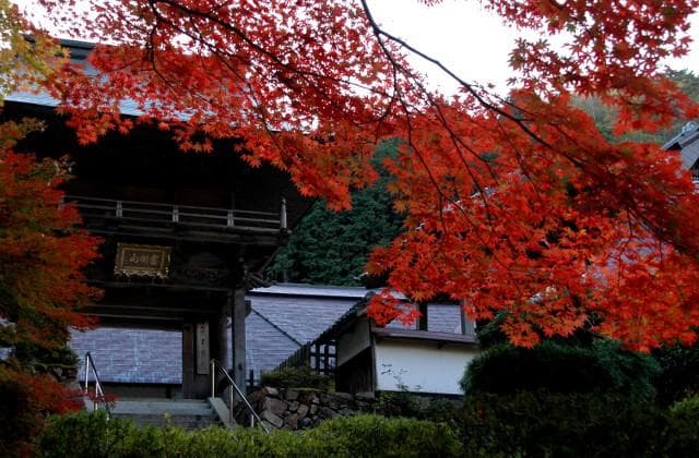 Yukumo
