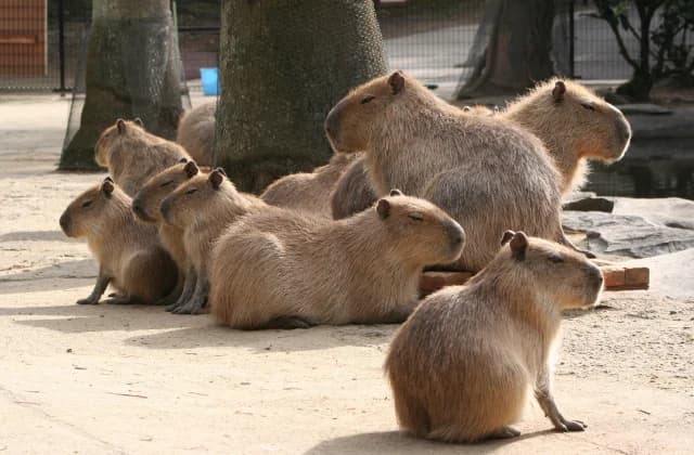 Nagasaki Bio Park