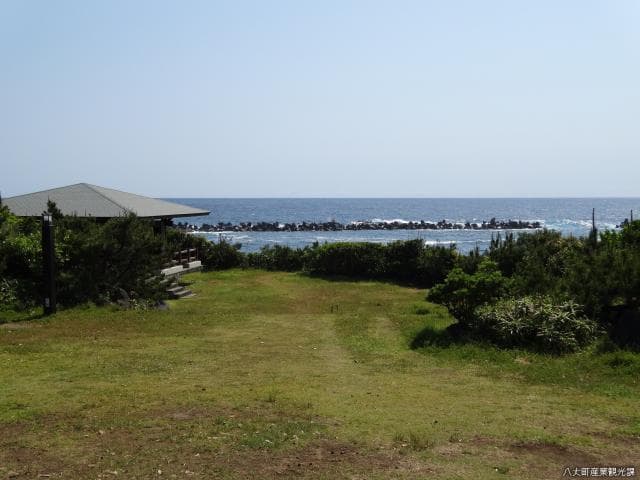 Bottom soil camp
