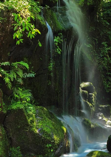 万葉公園 フォトコン入賞作品