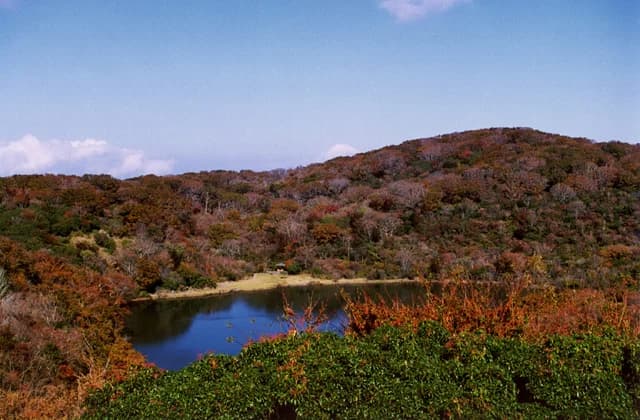 Hatcho Pond