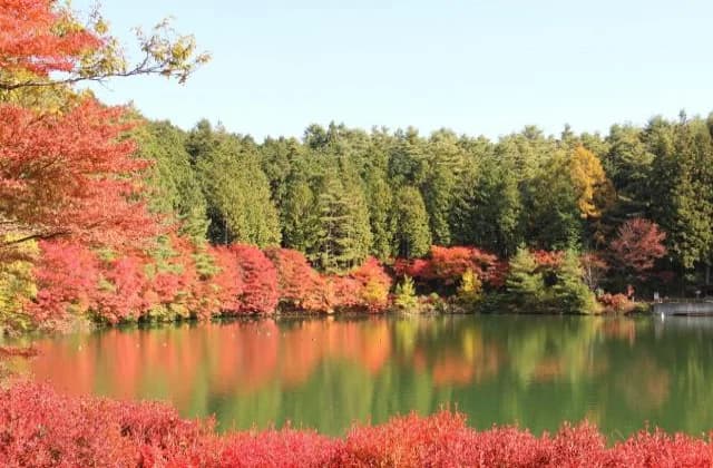 Lake Minami Inaga (Autumn)