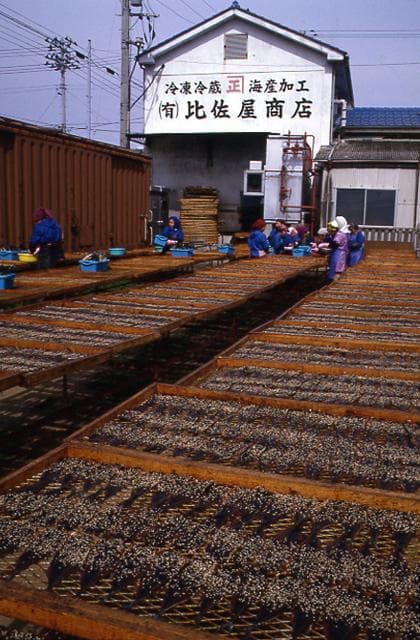 さんまのみりん干し