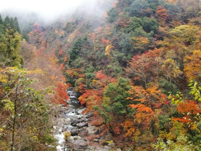 Fukushi River Valley