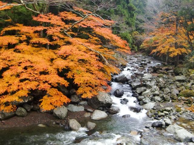 Fukushi River Valley (Ishiai)