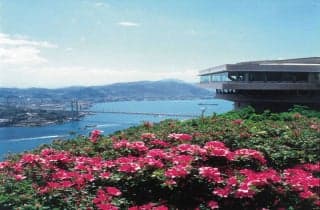 Hinoyama Park Azalea 1