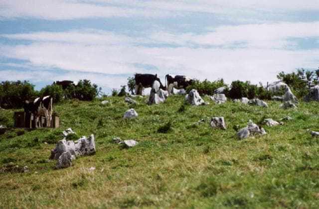 Shikoku Karst Ohnoga Hara