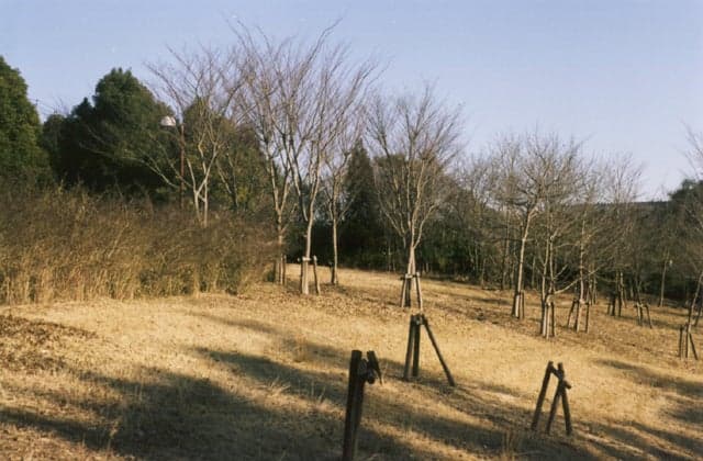 Tsukuba no Sato Koyodai Park