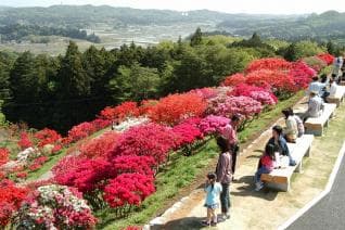 笠間つつじ公園 園内