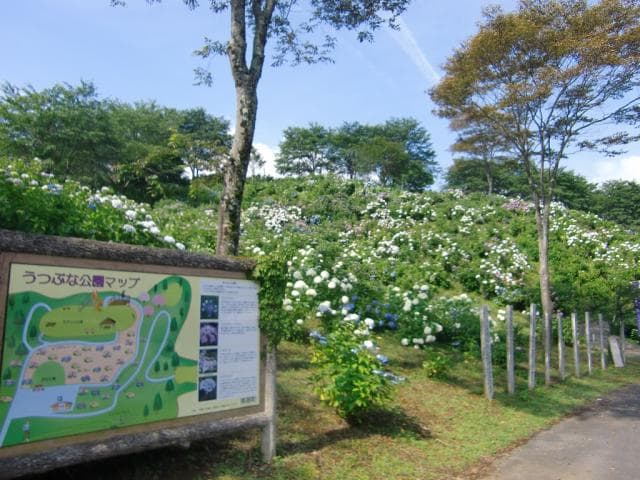 Utsubuna Park