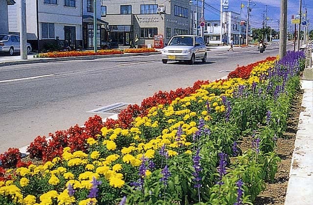 Kita-Hiyama City Flower Road