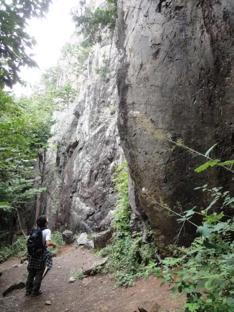 A rock