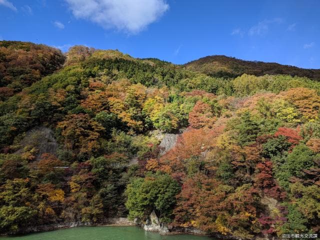 Autumn leaves in Lake Sonohara