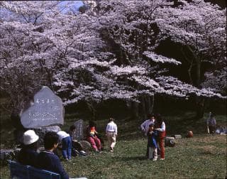 Tenmayama Park