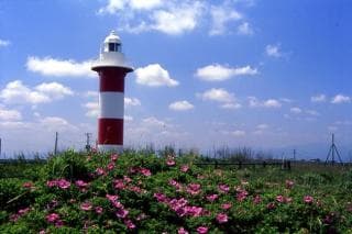 Hamanasu no Oka Park