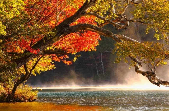 Lake Onneto
