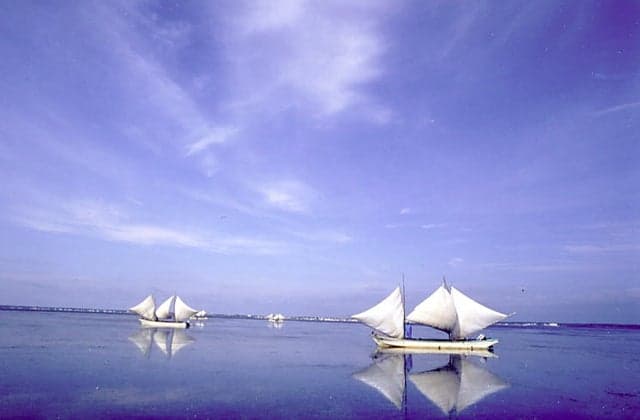 Odaito's shrimp Utase boat