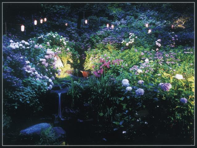 Onoike Hydrangea Park