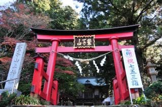 Torinoko Sanjo Shrine Torii