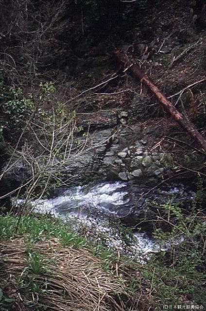 Kichijoji Falls