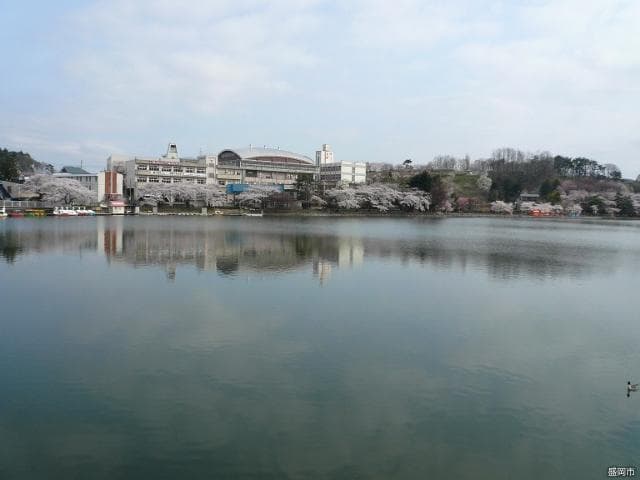 Pond in Takamatsu