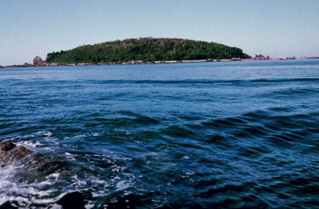 Esuzaki Island Plant Community