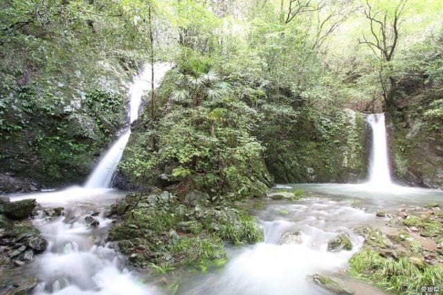Mitaki Valley Nature Park
