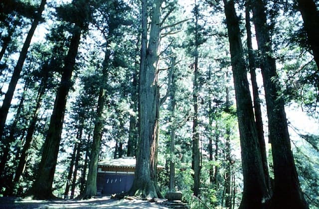 The shrine of Ichinomiya Shrine