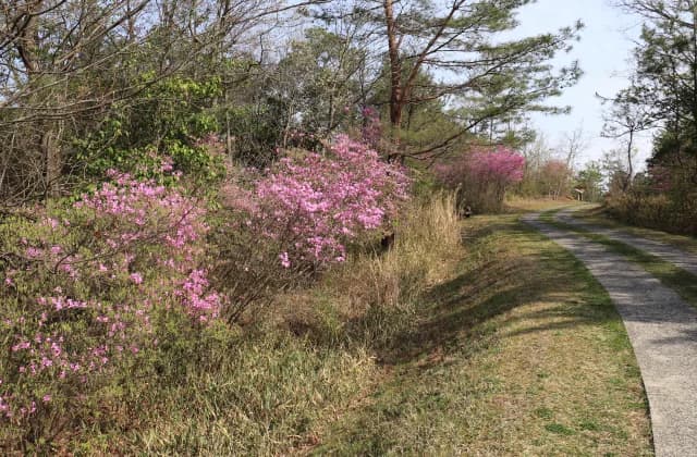 上野森林公園