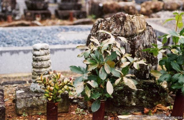 Tomb of Ishimatsu in the forest