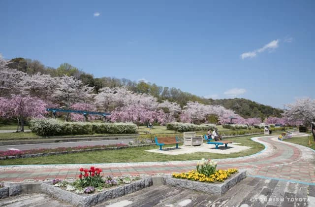 Water Source Park