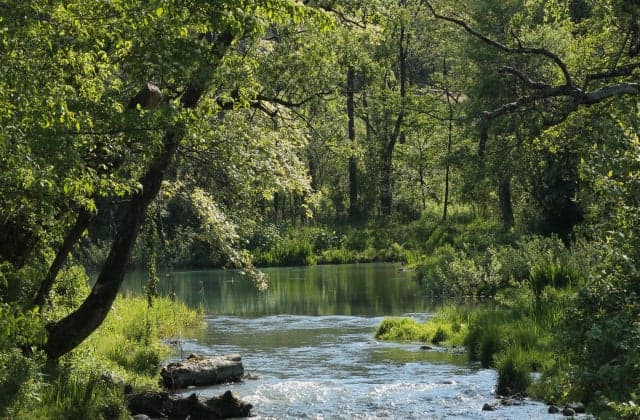 Hakanoki Nature Park 1