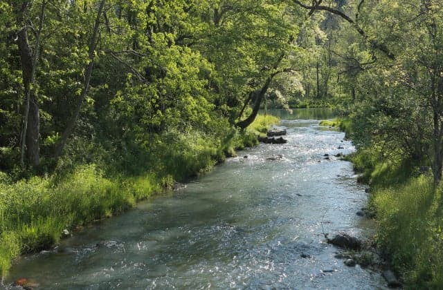 Hakanoki Nature Park 2