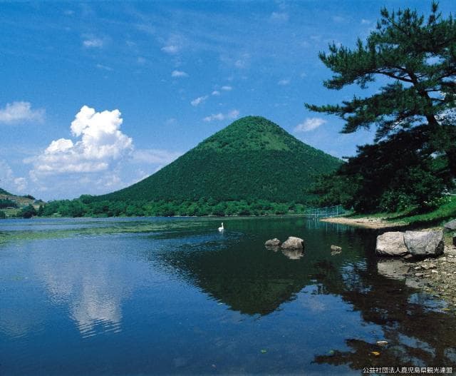 初夏の藺牟田池