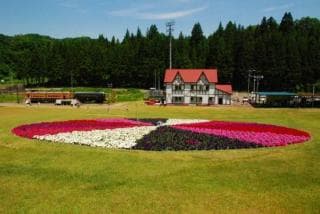 Lodge Wedern and Flower Watch