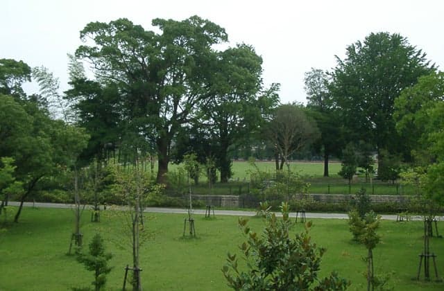 立花いこいの森