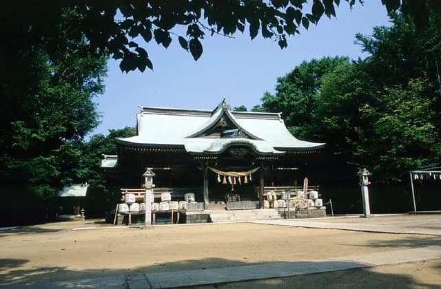 Sake line Isomae-jinja Shrine