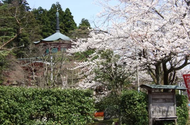 医王寺