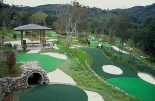 Putter golf