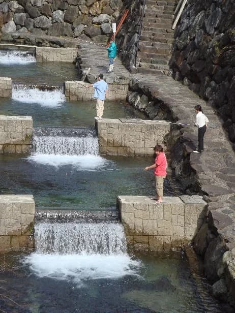 Mountain stream fishing experience