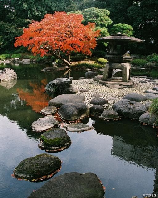 Japanese garden