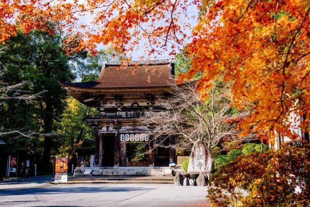 三井寺(園城寺)