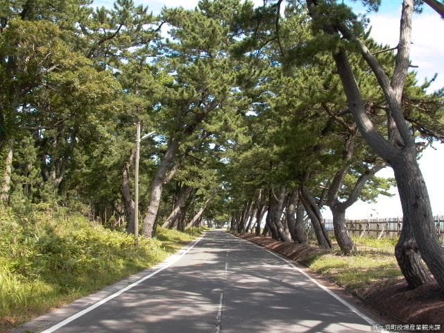 Matsumae Highway