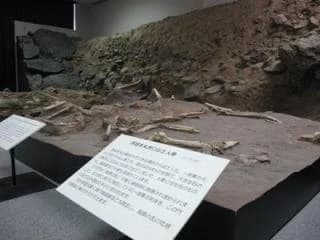 Hara Castle Ruins Excavation Exhibition Room