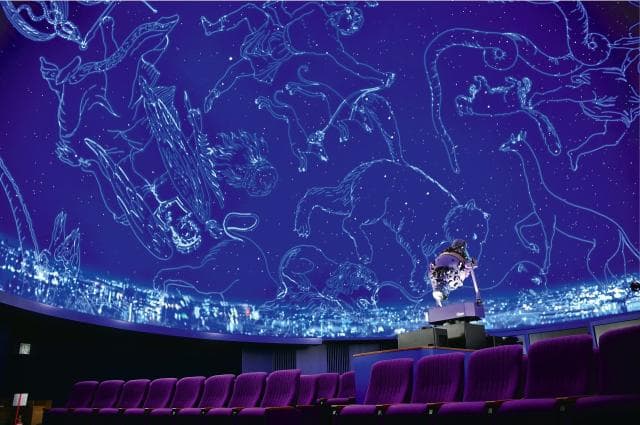 Science Experience Center for Dreams and Learning