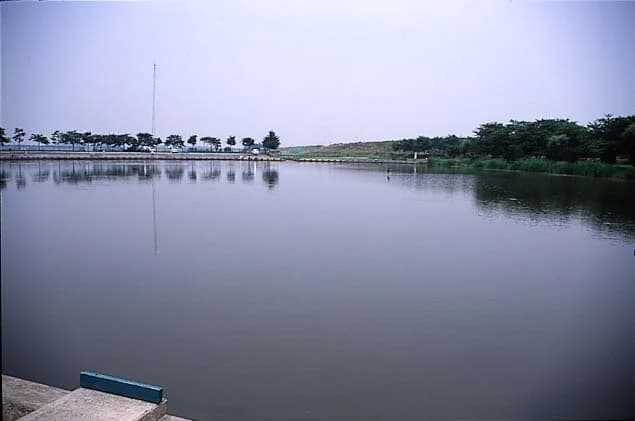 Tobainuma Nature Park
