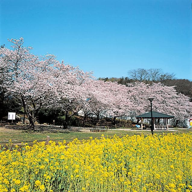 Hanashima Park
