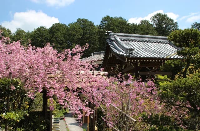Saio-ji Temple