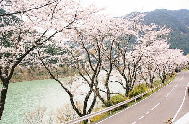 二川ダム湖周辺(国道480号)